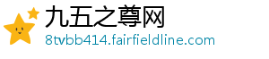 九五之尊网
